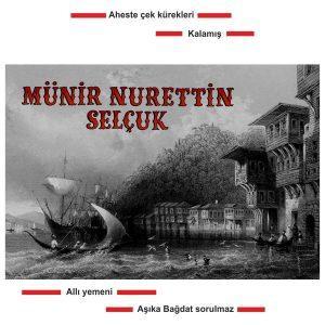 Munir Nurettin Selcuk